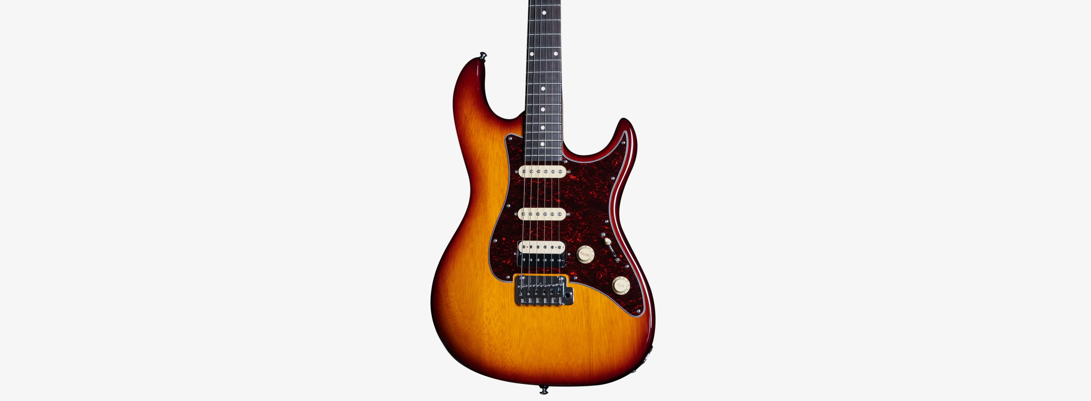 Sire Larry Carlton S3 - Image 22