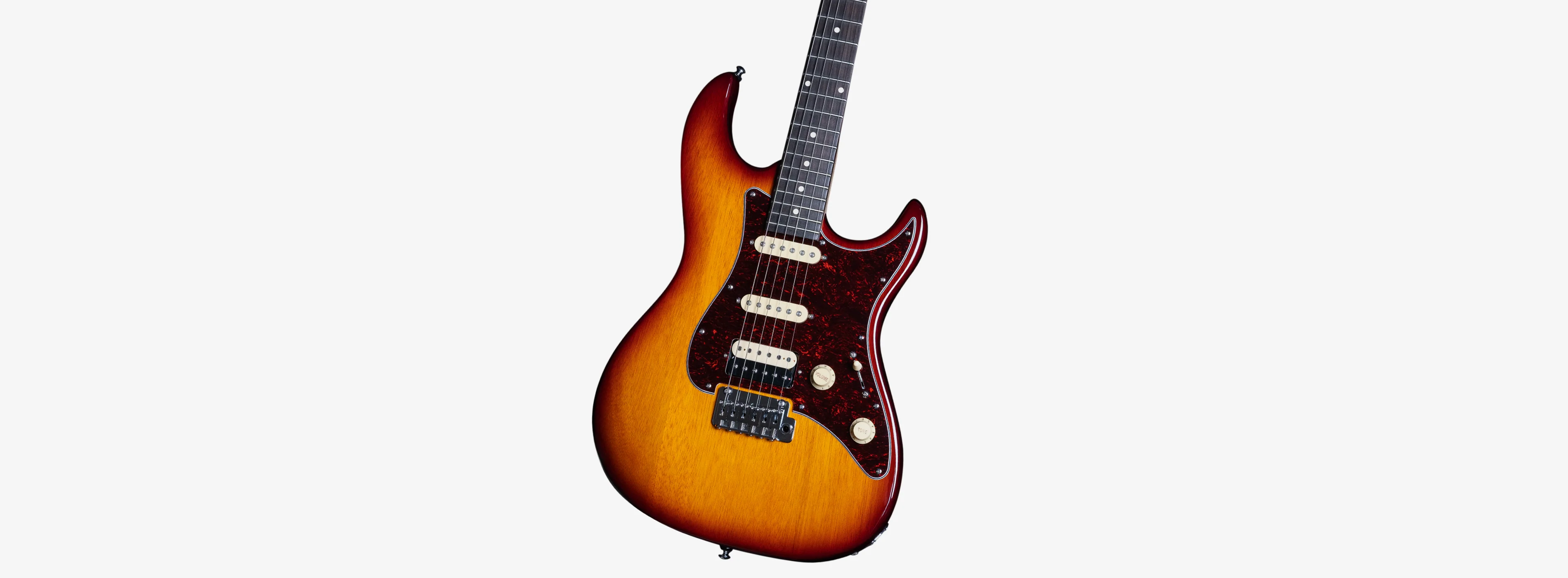 Sire Larry Carlton S3 - Image 23
