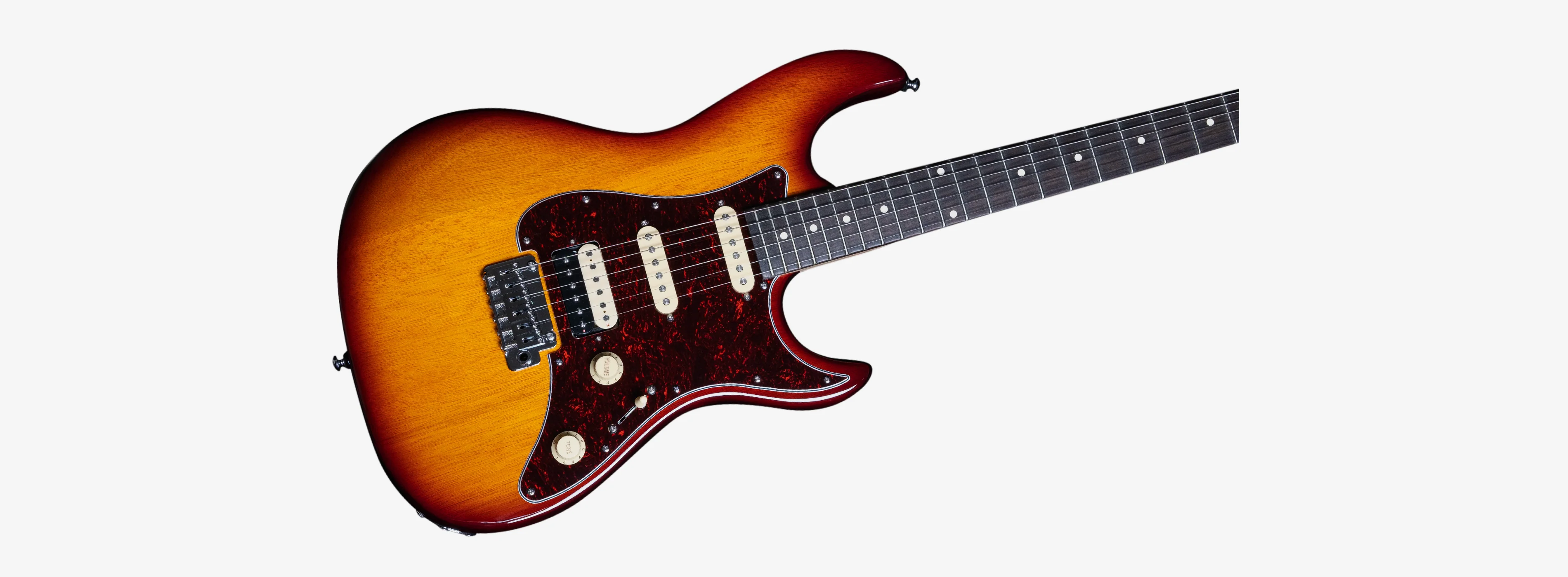 Sire Larry Carlton S3 - Image 24