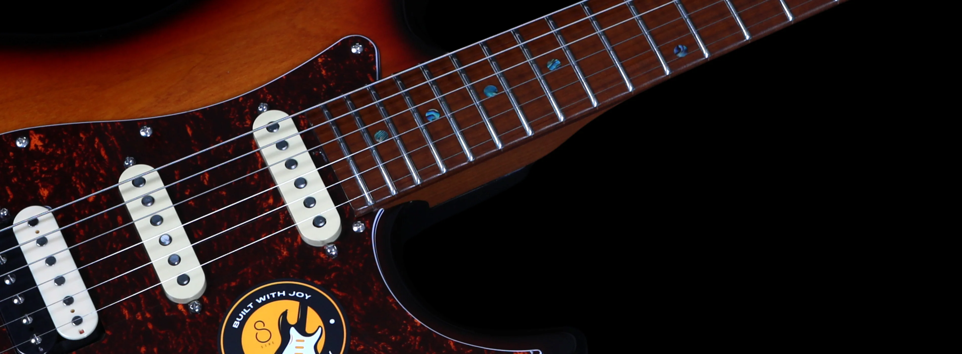 Sire Larry Carlton S7 - Image 29