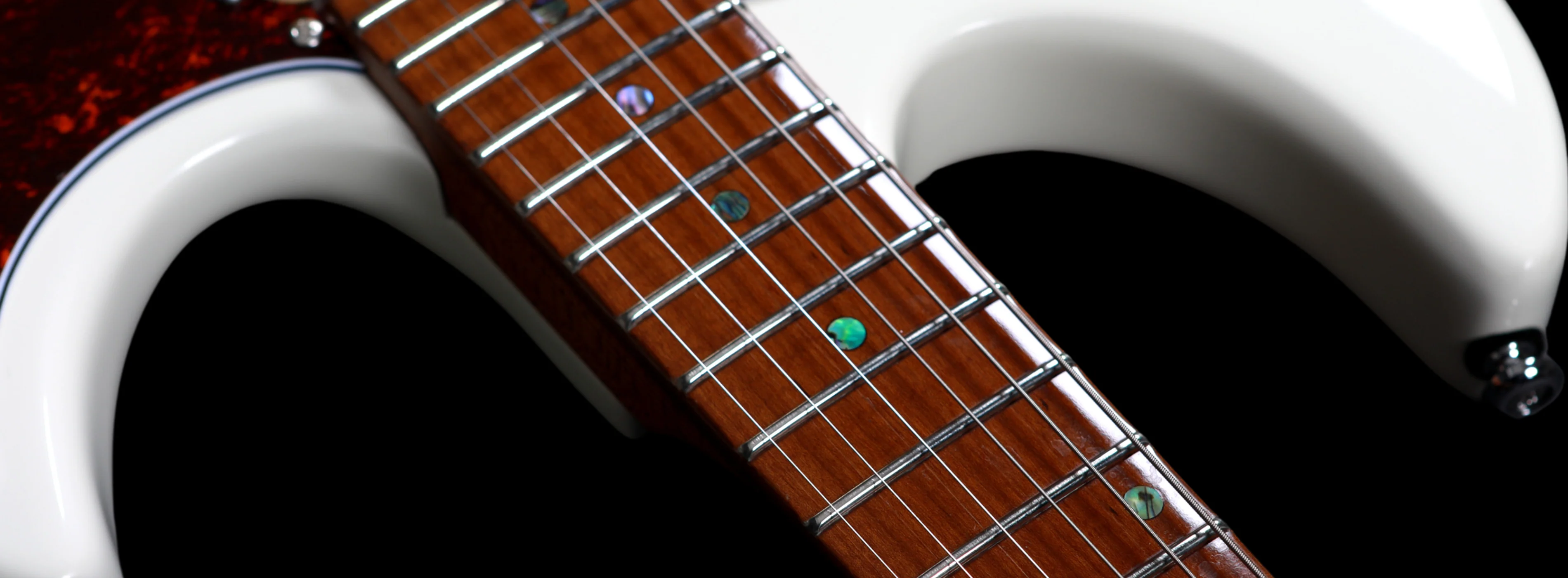 Sire Larry Carlton S7 - Image 33