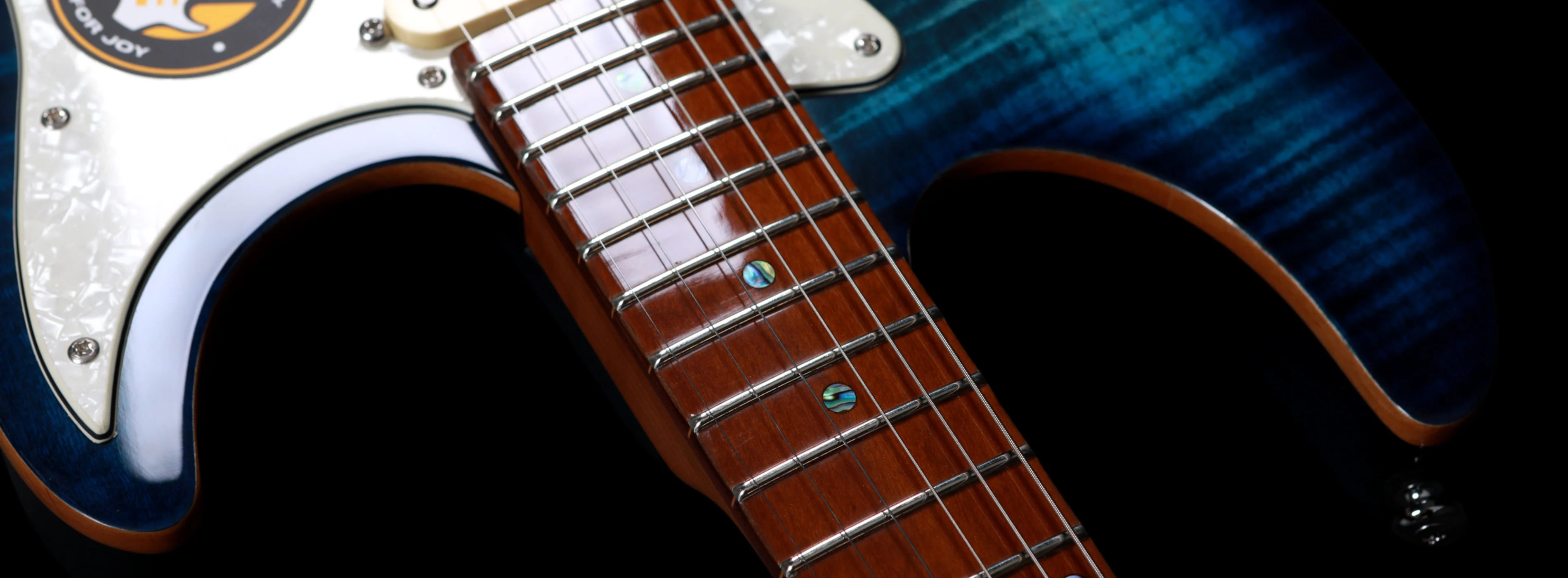Sire Larry Carlton S7 FM - Image 14