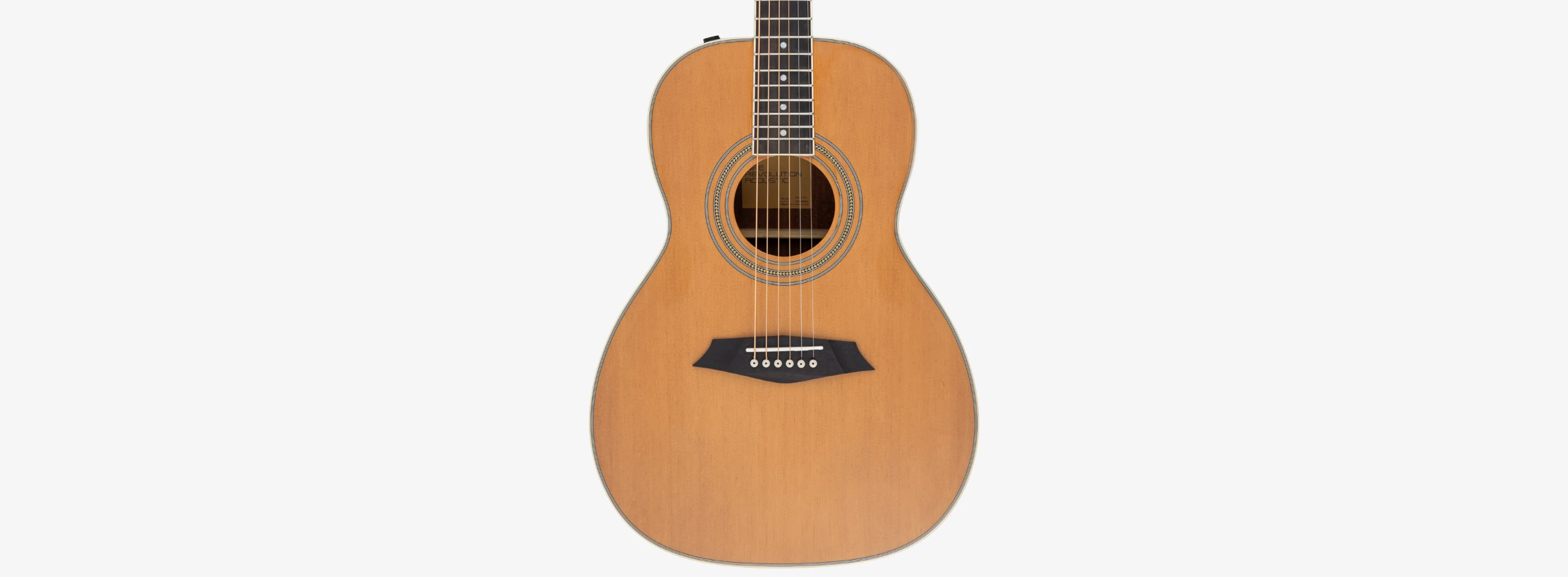 Sire Larry Carlton A3 Parlor - Image 4