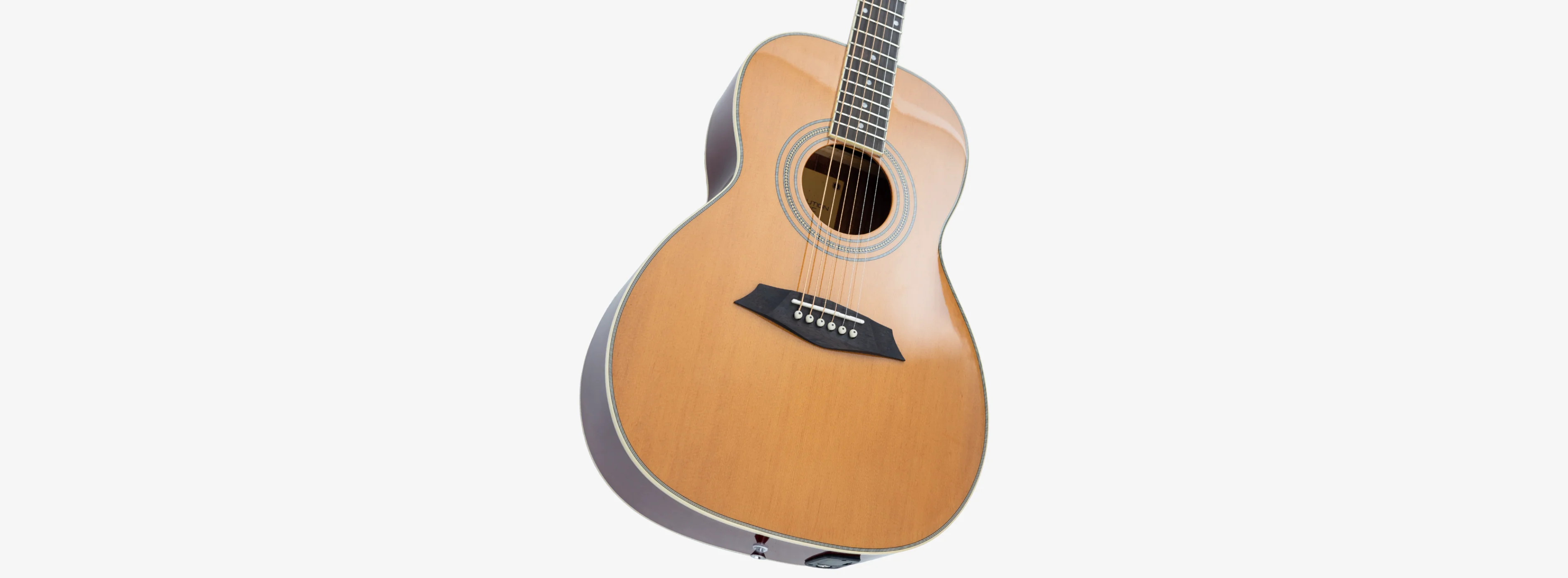 Sire Larry Carlton A3 Parlor - Image 5