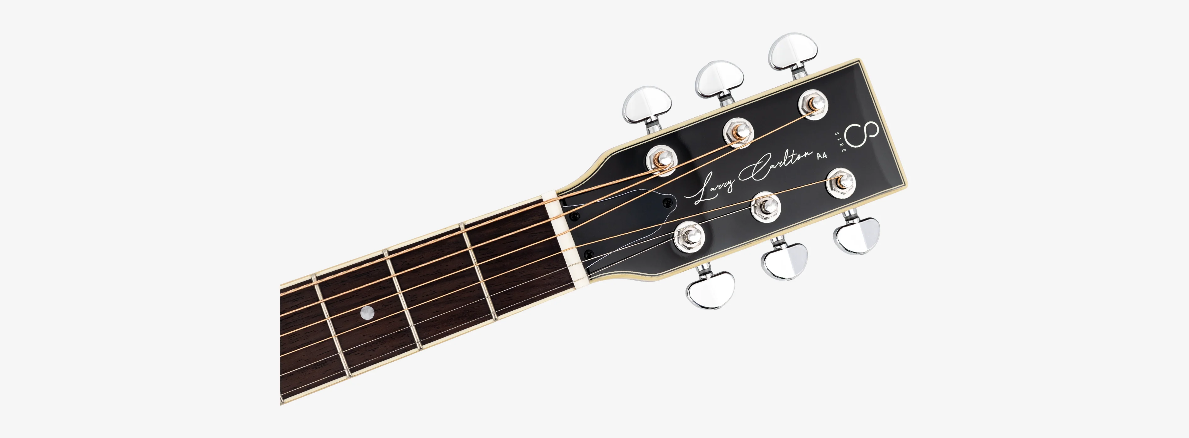Sire Larry Carlton A4 Parlor - Image 14