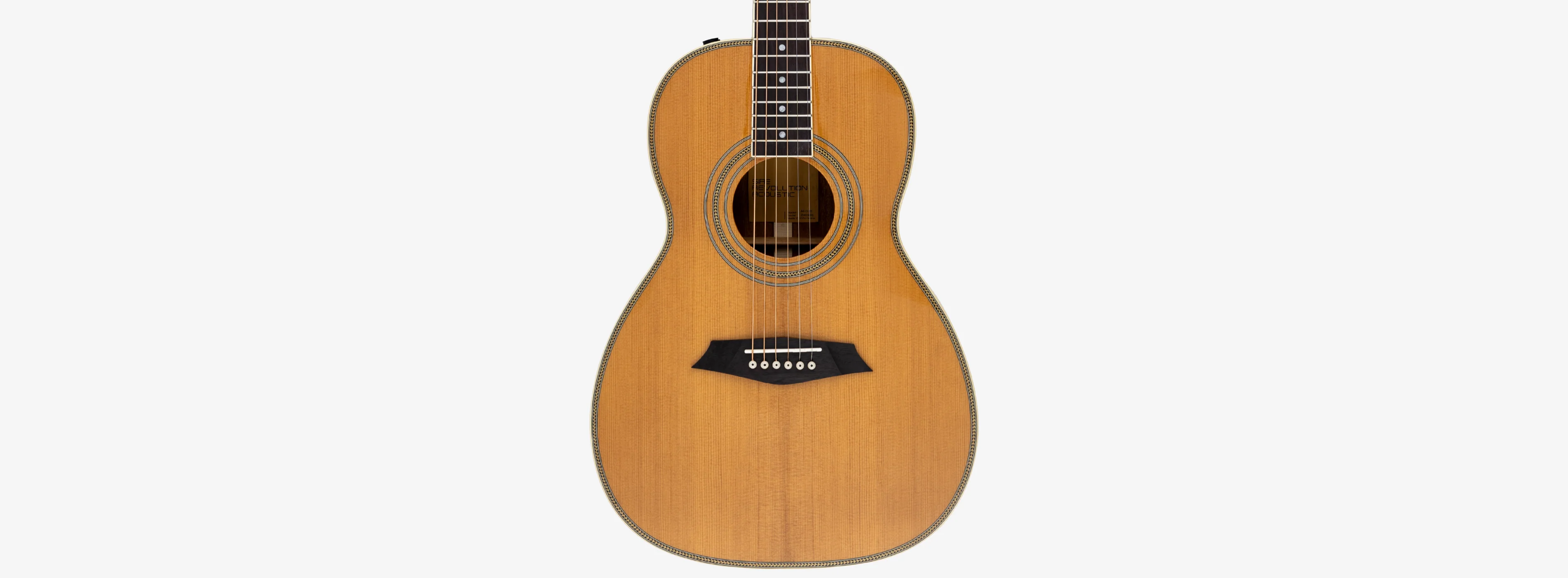 Sire Larry Carlton A4 Parlor - Image 4