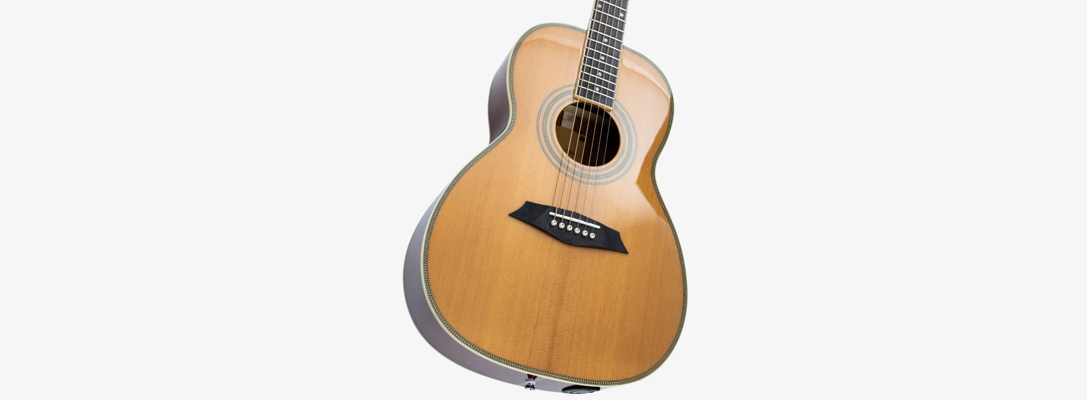 Sire Larry Carlton A4 Parlor - Image 5
