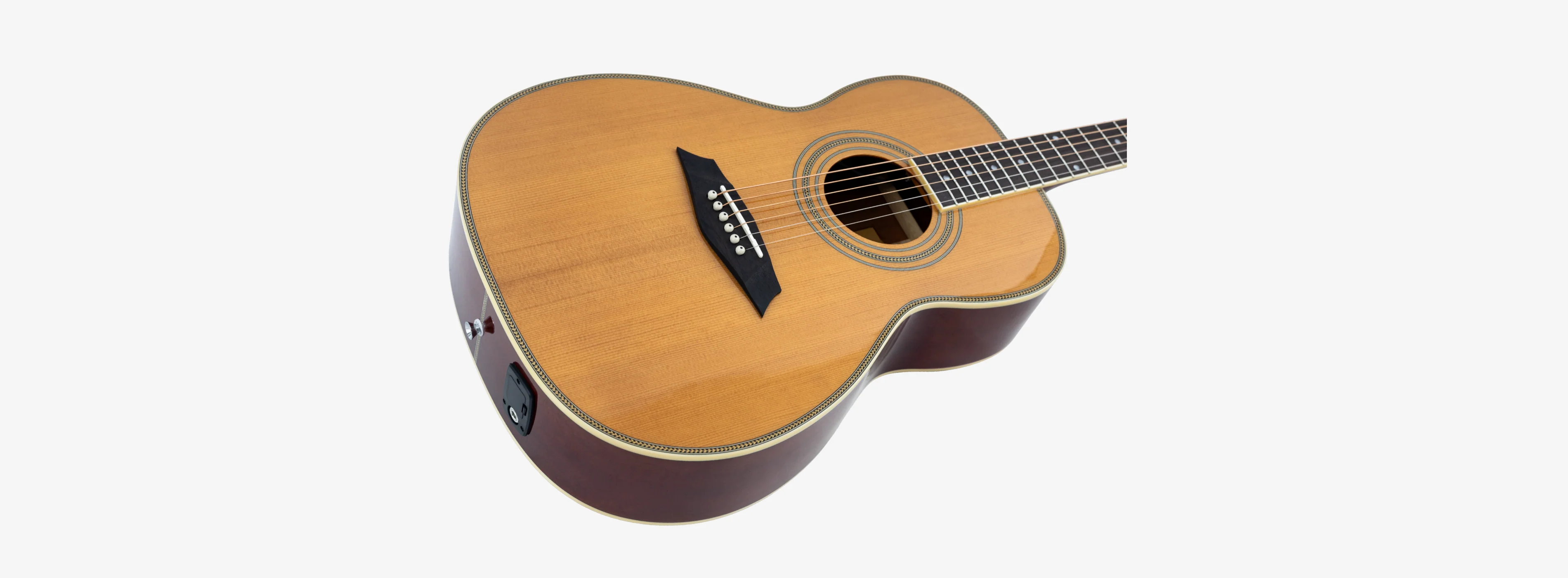 Sire Larry Carlton A4 Parlor - Image 6