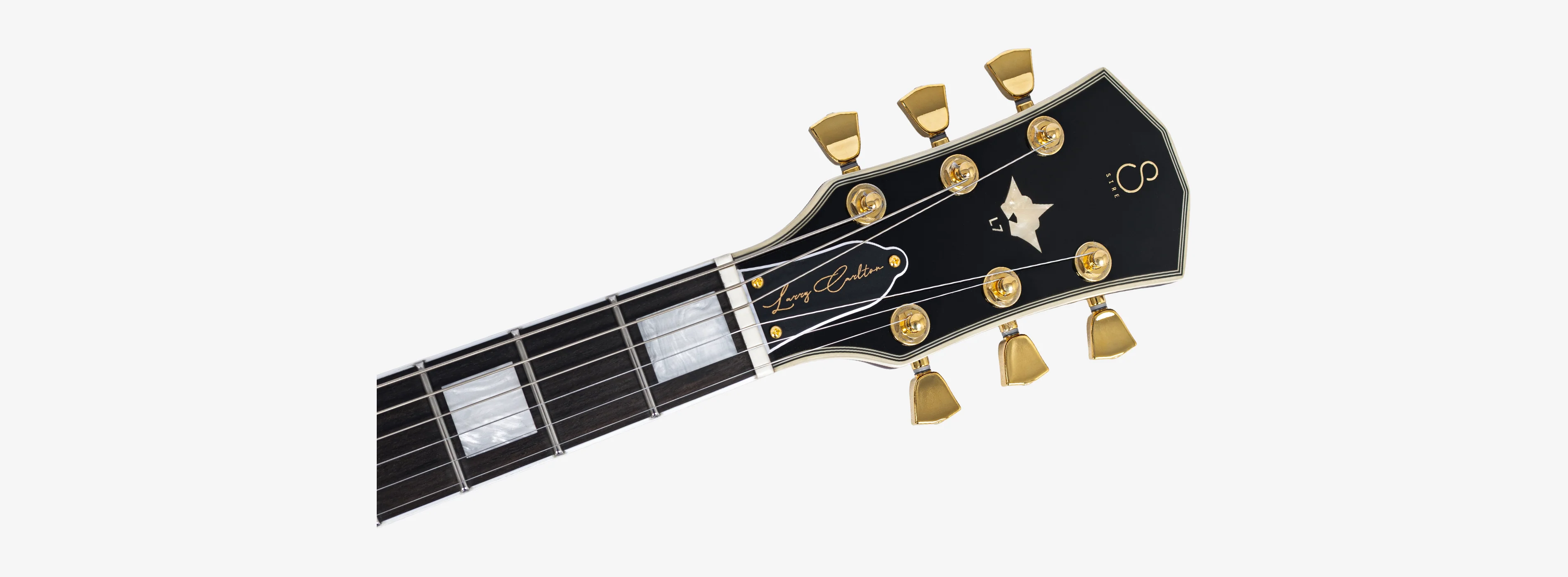 Sire Larry Carlton L7dx - Image 21