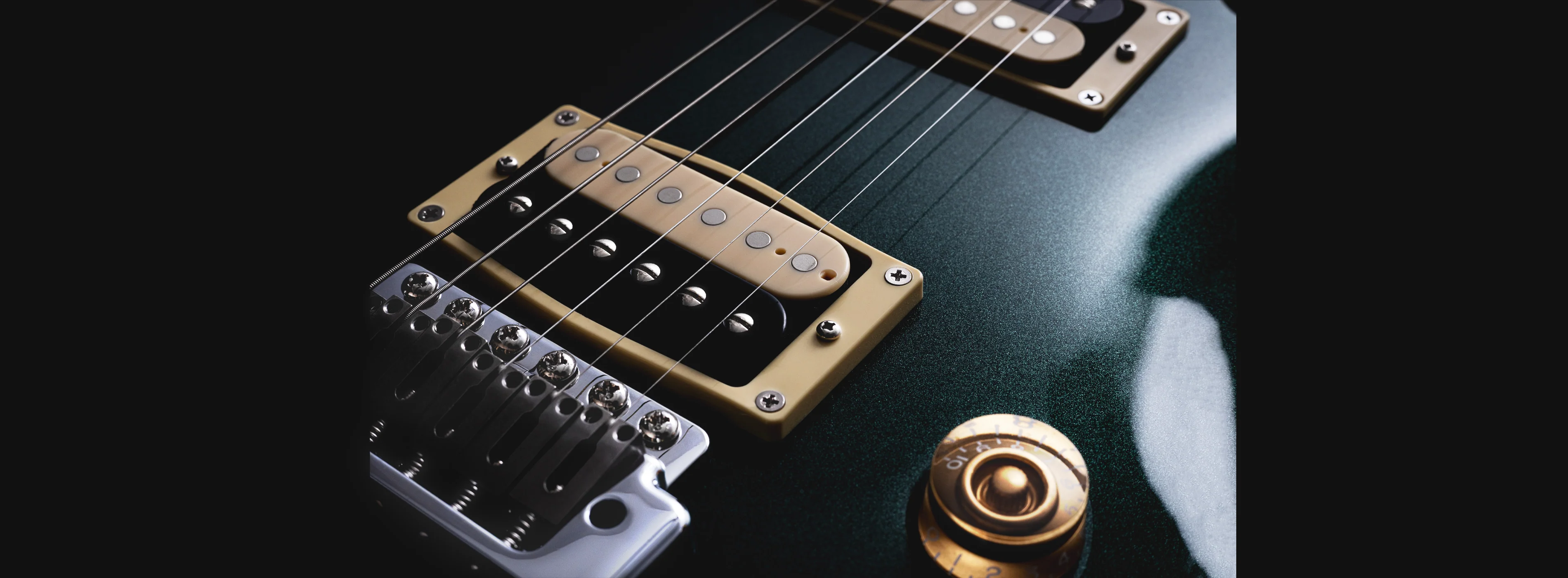 Sire Larry Carlton Q7 - Image 18