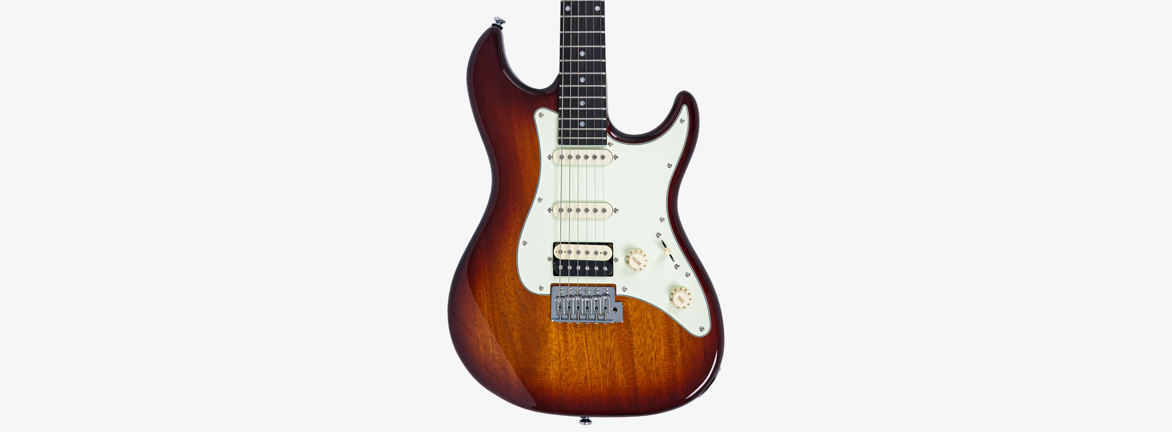 Sire Larry Carlton S1 - Image 25
