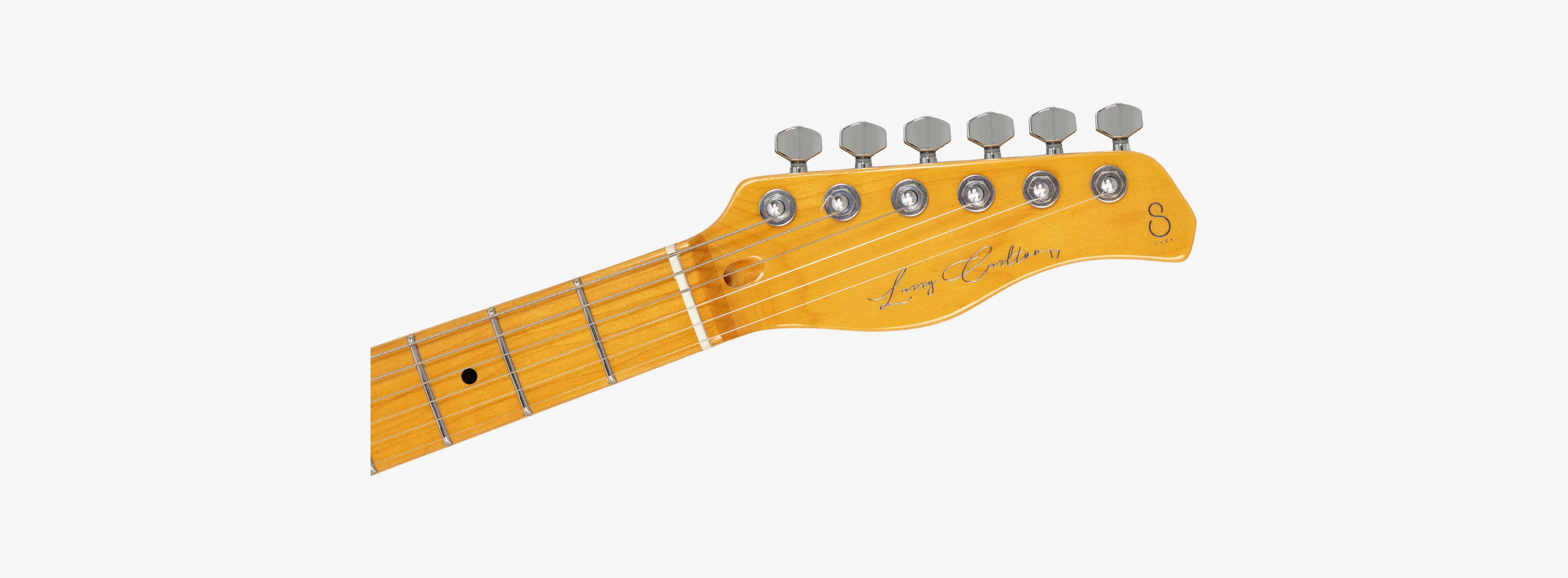Sire Larry Carlton T7 New Gen - Image 25