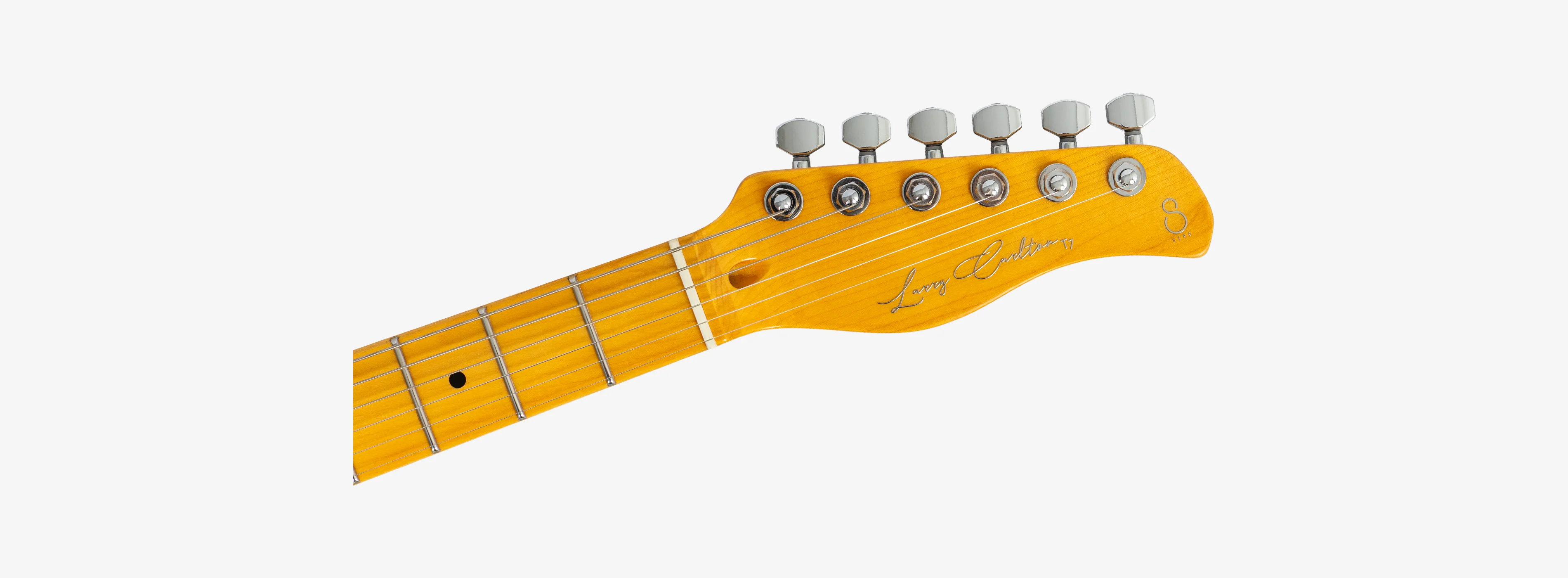 Sire Larry Carlton T7 New Gen - Image 43