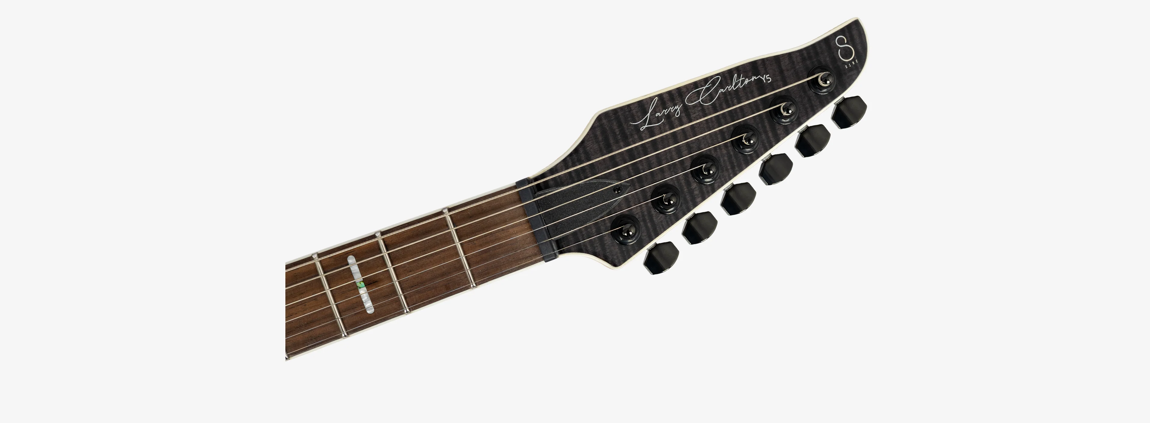 Sire Larry Carlton Y5 - Image 14
